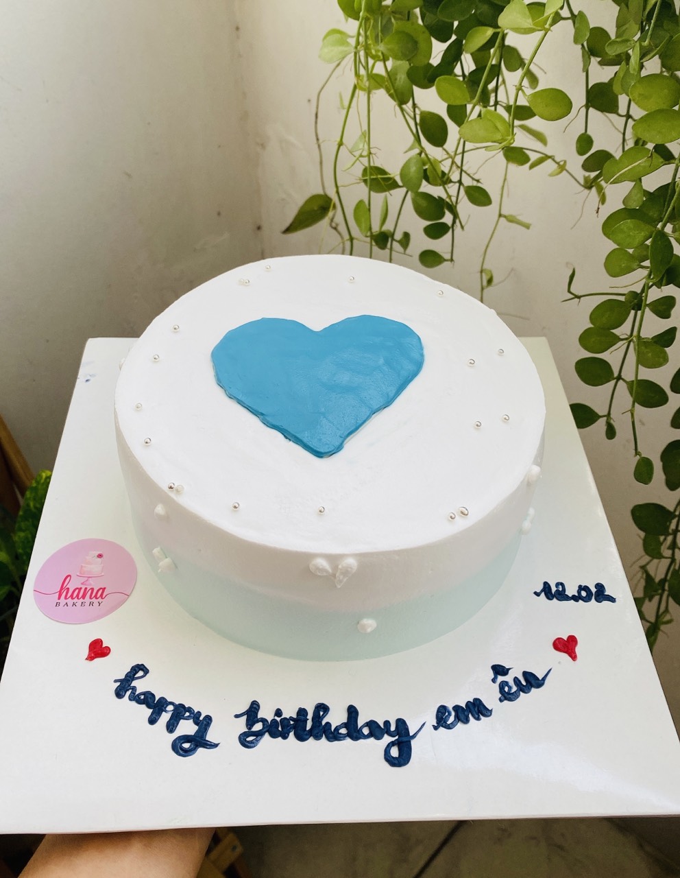 Bánh kem sinh nhật đơn giản A47 màu trắng xanh cực sang trọng cho nam   TIEMBANHQUYNH  Quỳnh Bakery